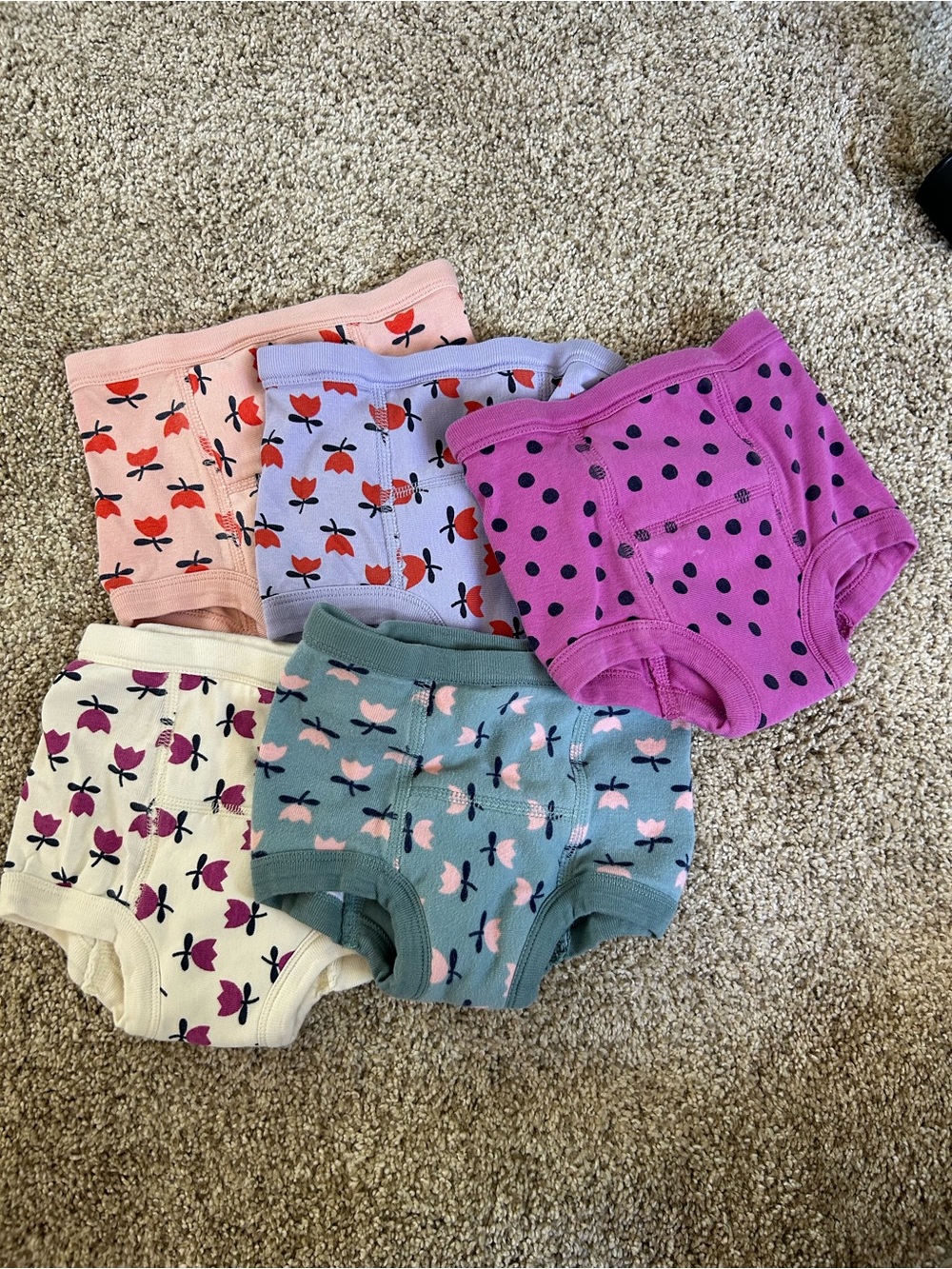 Hanna Andersson Training Underwear 5-Pack | XS | 80/90 cm